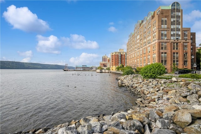 view of water feature with a city view