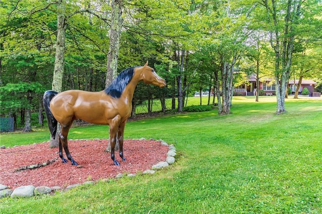 view of community featuring a yard