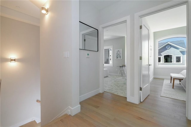 corridor featuring plenty of natural light and light wood-type flooring