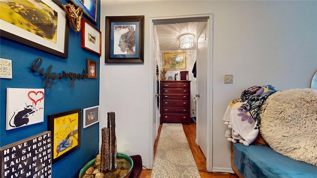 hall featuring hardwood / wood-style flooring