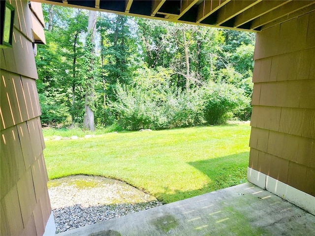 view of yard with a patio area