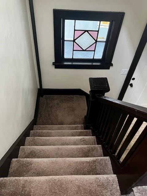 stairs featuring carpet floors