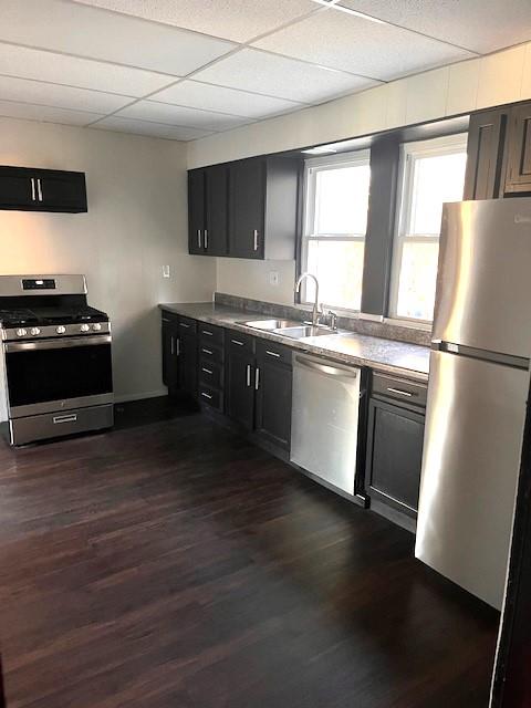 kitchen with sink, stainless steel appliances, dark hardwood / wood-style floors, and a drop ceiling