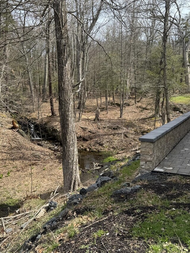 344 Schultz Hill Rd, Rhinebeck, NY 12572 - photo 7