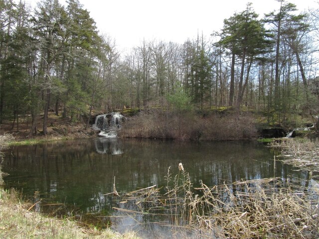 344 Schultz Hill Rd, Rhinebeck, NY 12572 - photo 30