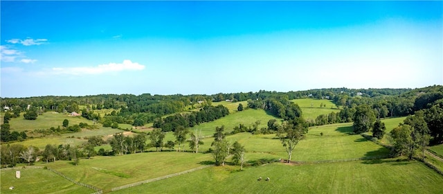 bird's eye view featuring a rural view