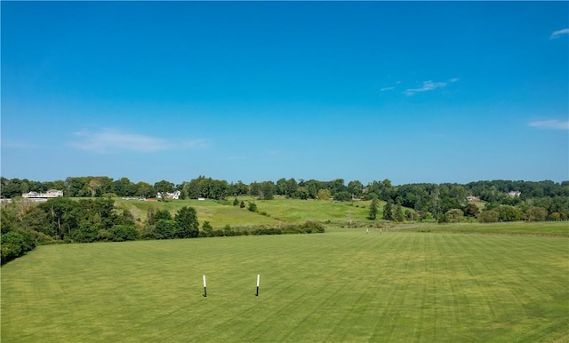 view of property's community featuring a lawn