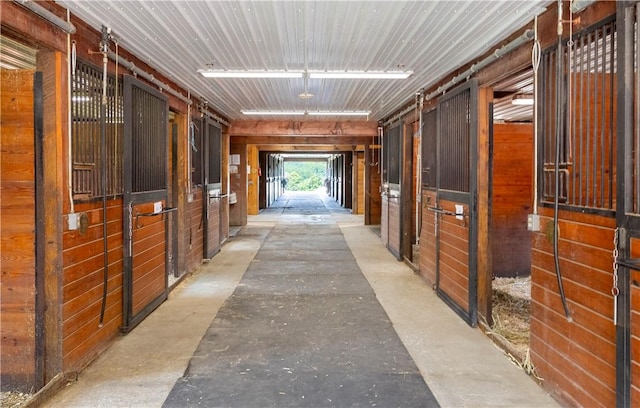 view of horse barn