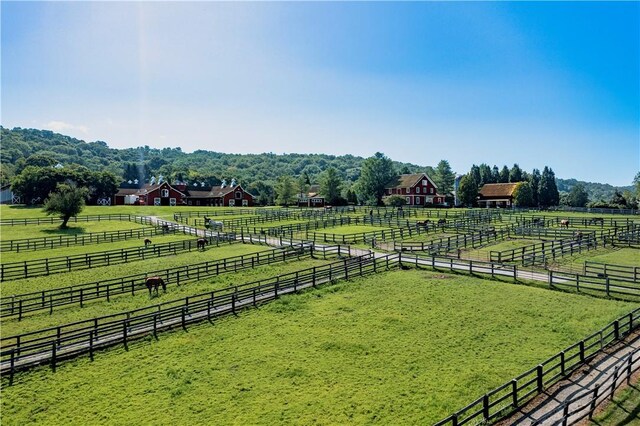 view of yard featuring a rural view