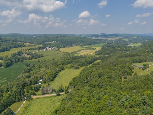 drone / aerial view with a rural view