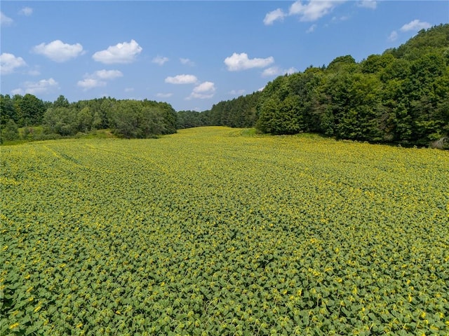 view of landscape