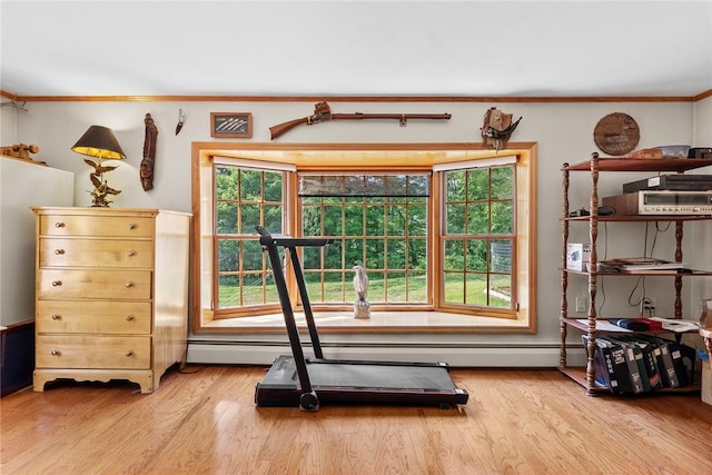 exercise area featuring light hardwood / wood-style floors and ornamental molding