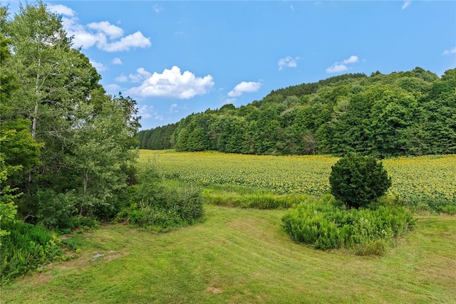 view of landscape