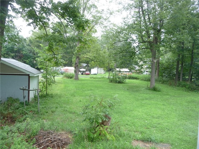 view of yard