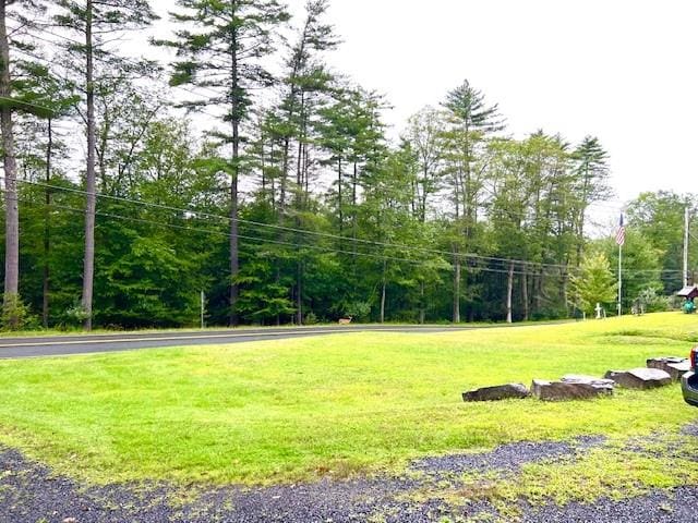 view of community featuring a lawn