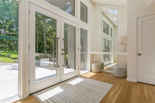 doorway with a skylight, french doors, and light wood-type flooring