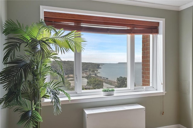 details featuring a water view and crown molding