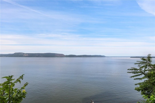 view of water feature