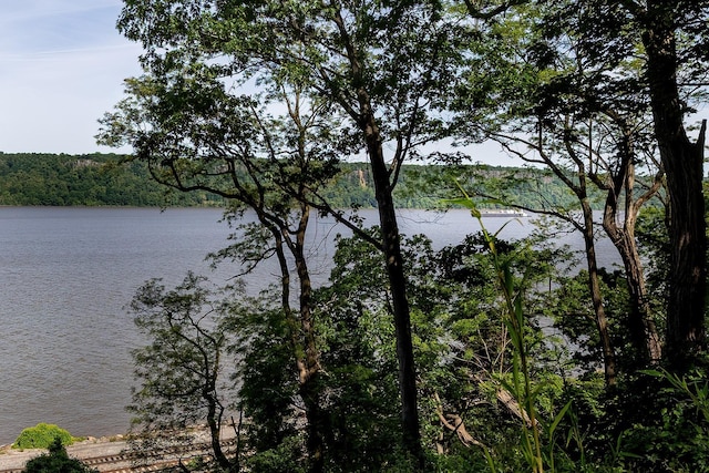 2727 Palisade Ave Unit 7B, Bronx, NY 10463 - water view with a heavily wooded area
