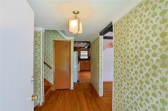 hallway with dark hardwood / wood-style floors and ornamental molding