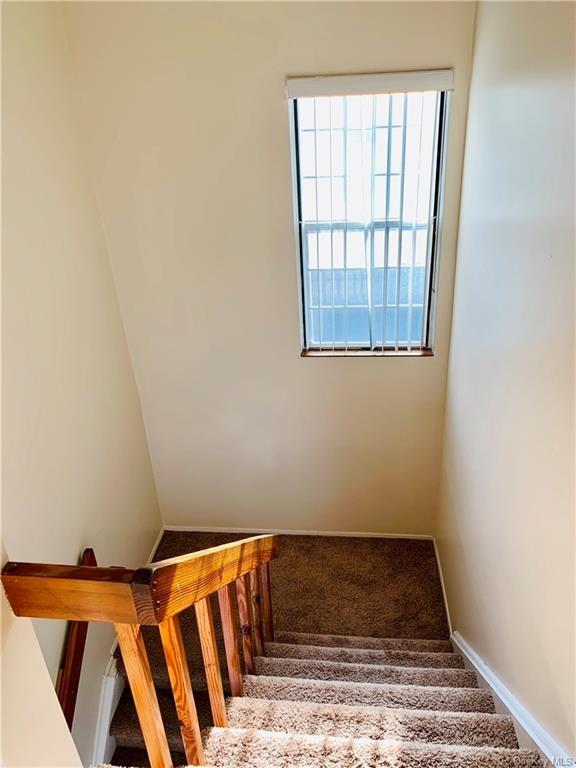 stairway featuring carpet floors