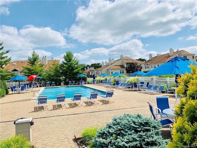 view of swimming pool with a patio area