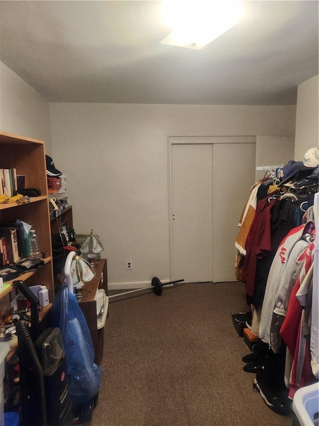 miscellaneous room featuring carpet