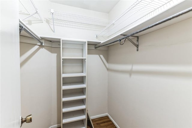 walk in closet featuring hardwood / wood-style flooring