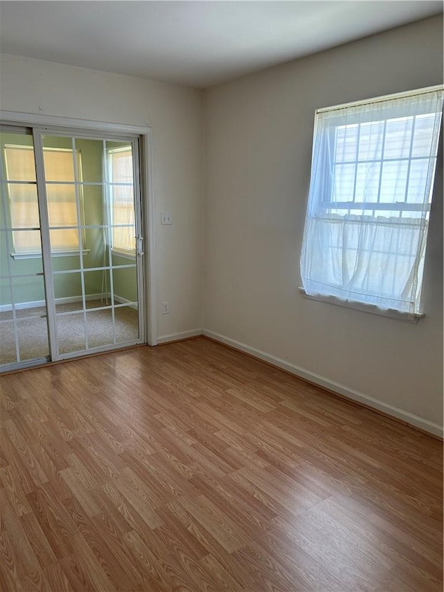 spare room with light hardwood / wood-style flooring