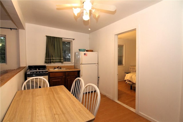 kitchen with white refrigerator, sink, ceiling fan, light hardwood / wood-style floors, and dark brown cabinetry