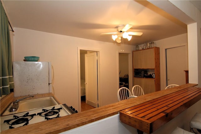 dining area with ceiling fan