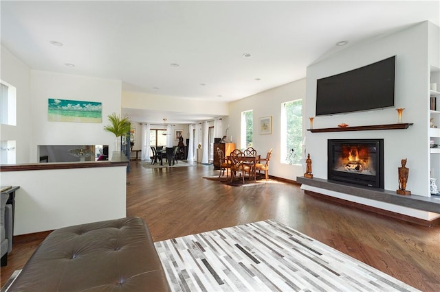 living room with wood-type flooring and a wealth of natural light