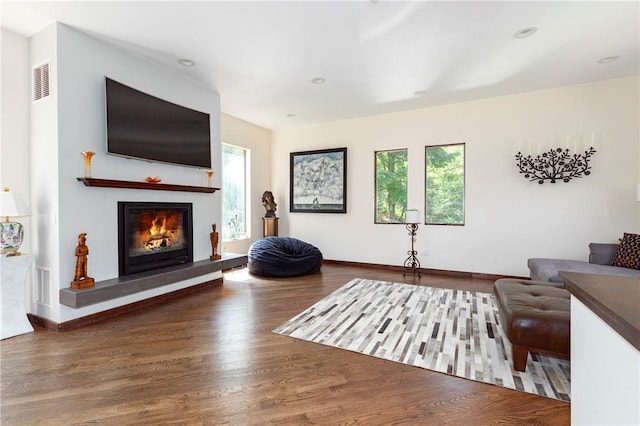 living room with hardwood / wood-style floors and a healthy amount of sunlight