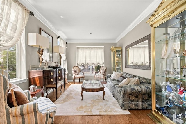 living room with wood-type flooring and ornamental molding