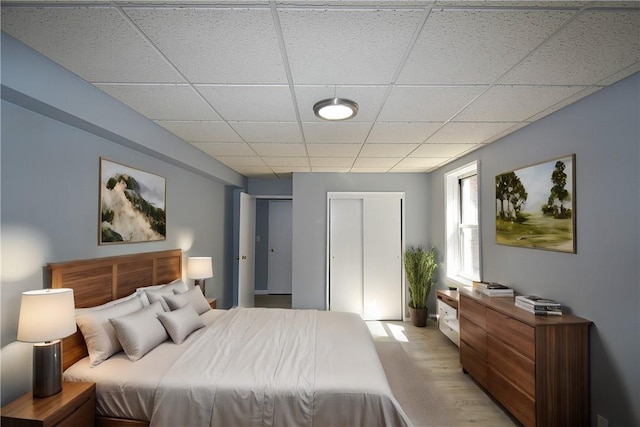 bedroom with a paneled ceiling and light hardwood / wood-style flooring