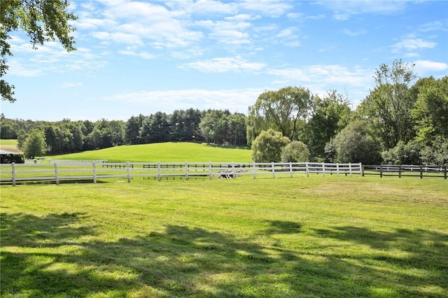 view of yard with a rural view