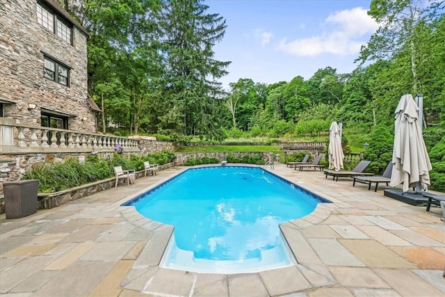 view of pool with a patio area