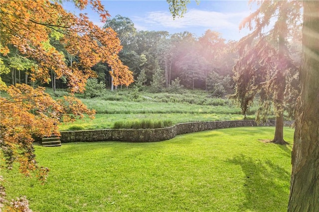 view of home's community with a lawn