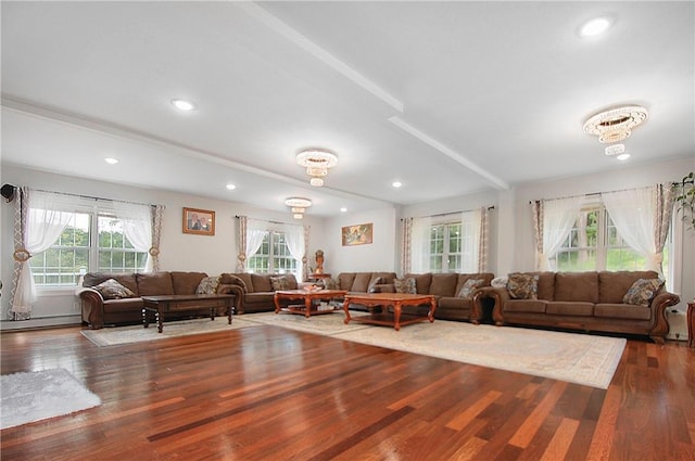 living room with hardwood / wood-style flooring, beam ceiling, and a baseboard radiator