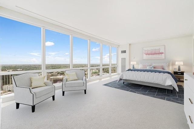 bedroom with a wall of windows and carpet floors