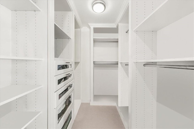 walk in closet with light colored carpet