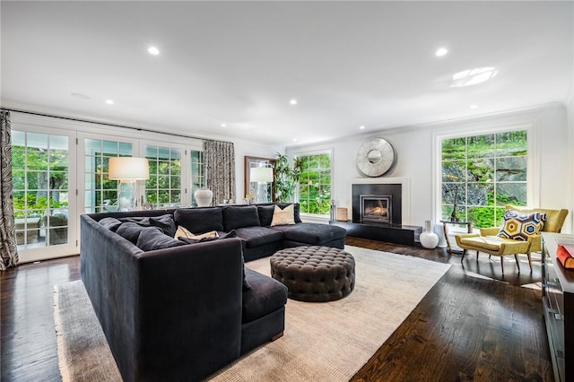 living room featuring dark hardwood / wood-style flooring, crown molding, and a wealth of natural light