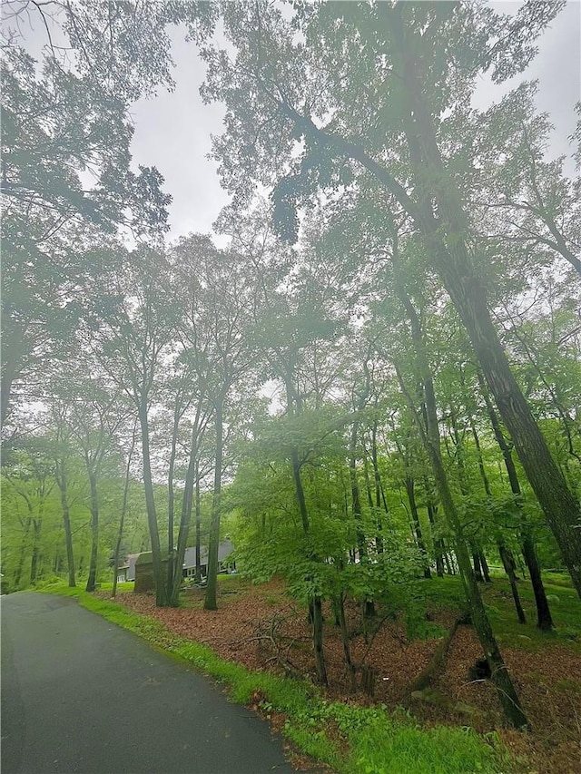 23 Dogwood Rd, Sloatsburg NY, 10974 land for sale