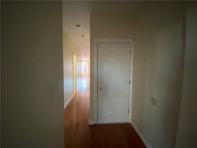 corridor featuring dark hardwood / wood-style floors