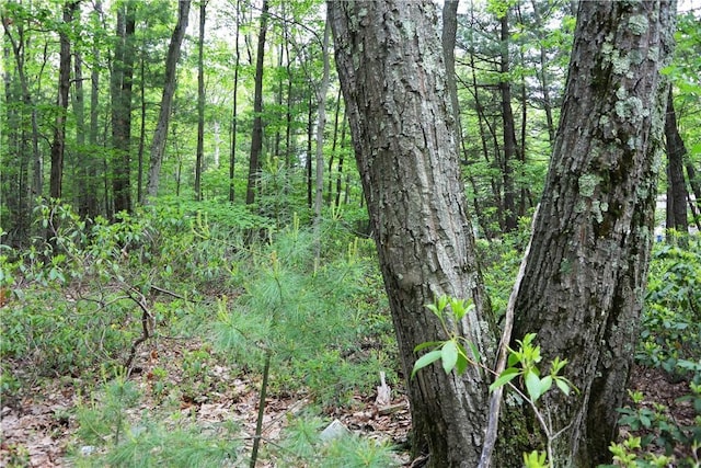 Listing photo 4 - caption unavailable