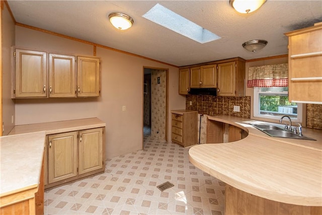 kitchen with backsplash, sink, a skylight, ornamental molding, and a textured ceiling