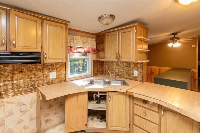 kitchen featuring backsplash, exhaust hood, sink, ceiling fan, and ornamental molding