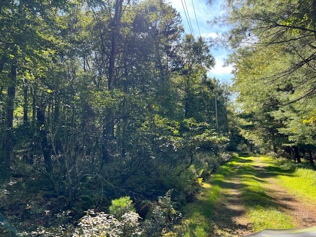 Address Not Disclosed, Glen Spey NY, 12737 land for sale