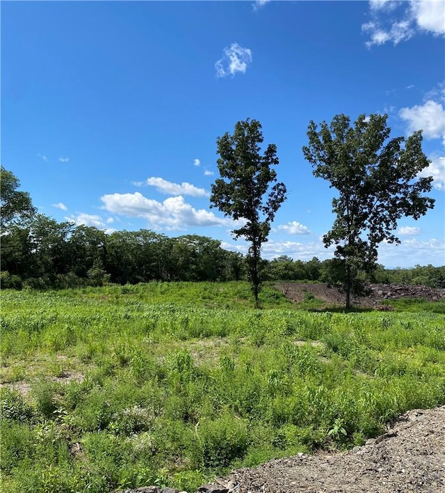 view of landscape with a rural view