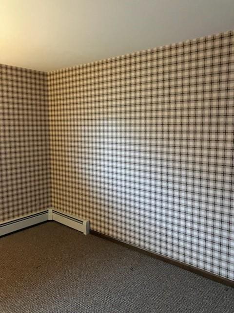 unfurnished room featuring carpet